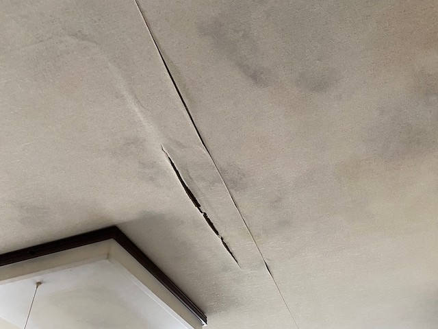 天井クロスに雨漏りによるカビが発生